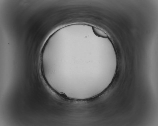 X0000083601526200703021859