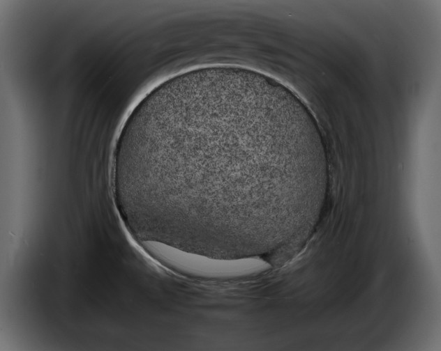 X0000083601527200703021859