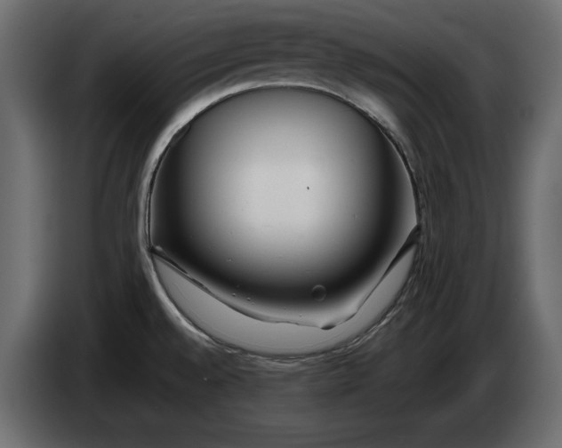 X0000083601528200703021859