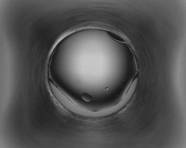 X0000083601530200703021859