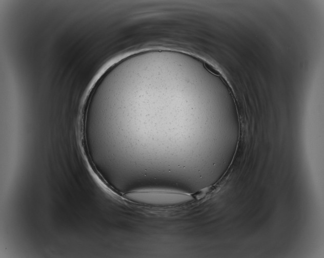 X0000083601531200703021859