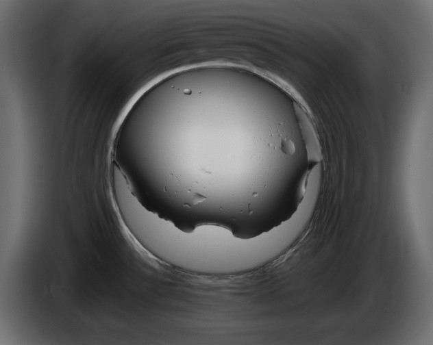 X0000083601532200703021859