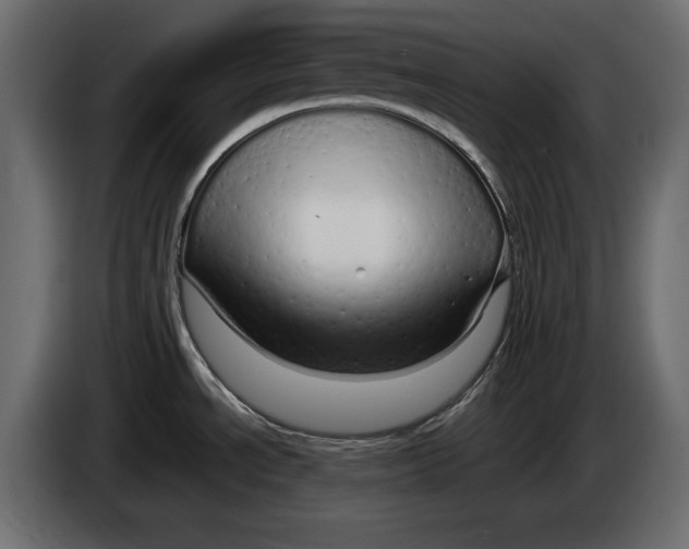 X0000083601534200703021859