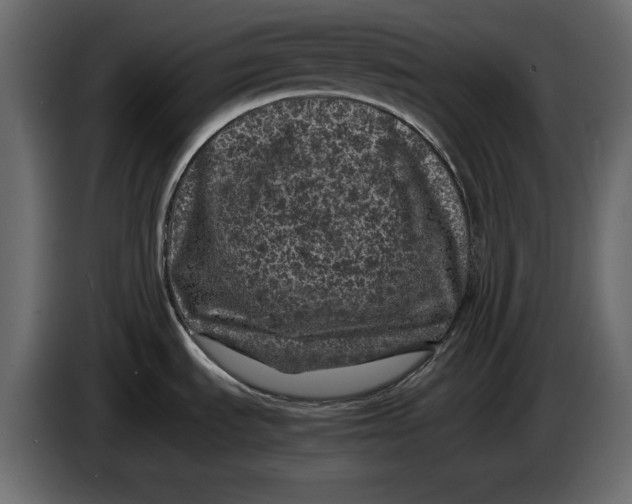 X0000083601535200703021859