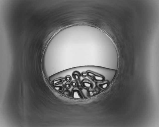 X0000083600001200703091751