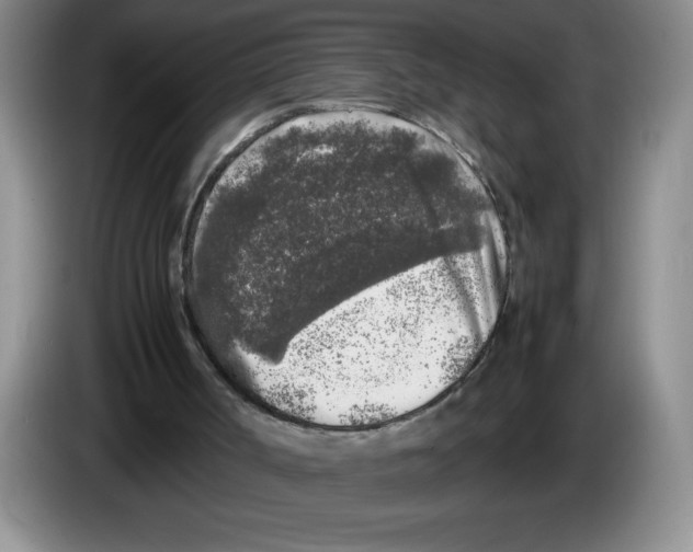 X0000083600002200703091751