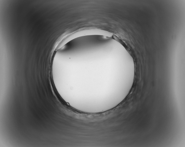 X0000083600003200703091751