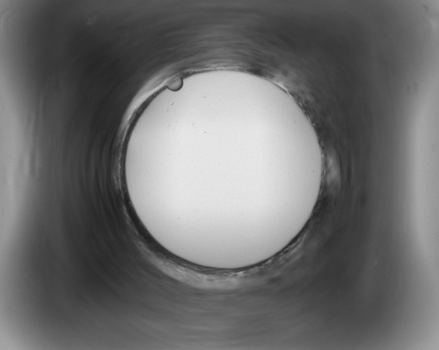 X0000083600004200703091751