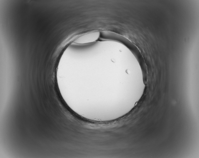 X0000083600005200703091751