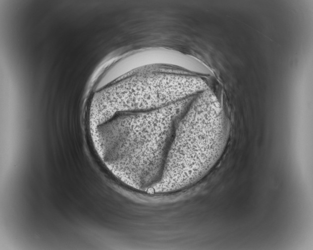 X0000083600006200703091751