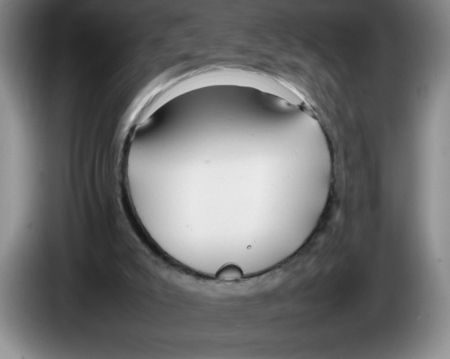 X0000083600007200703091751