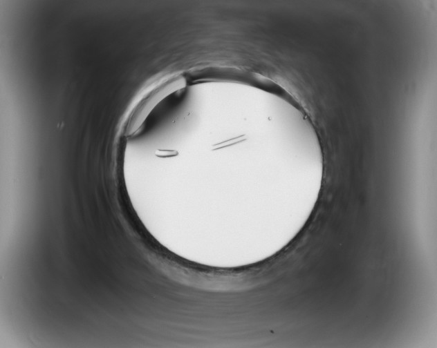 X0000083600008200703091751