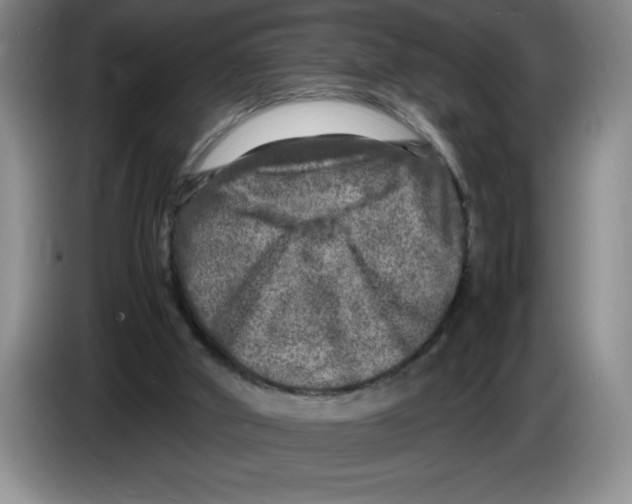 X0000083600010200703091751