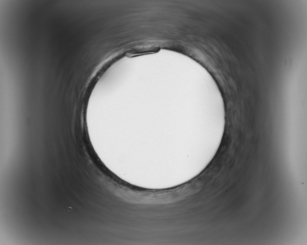 X0000083600011200703091751