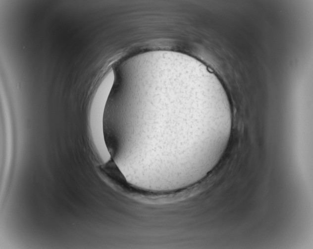 X0000083600013200703091751