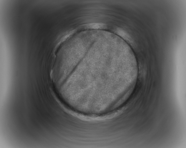 X0000083600014200703091751