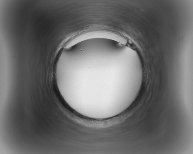 X0000083600015200703091751