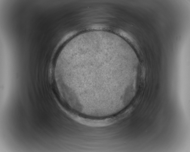 X0000083600016200703091751