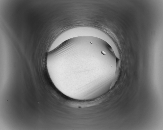 X0000083600017200703091751