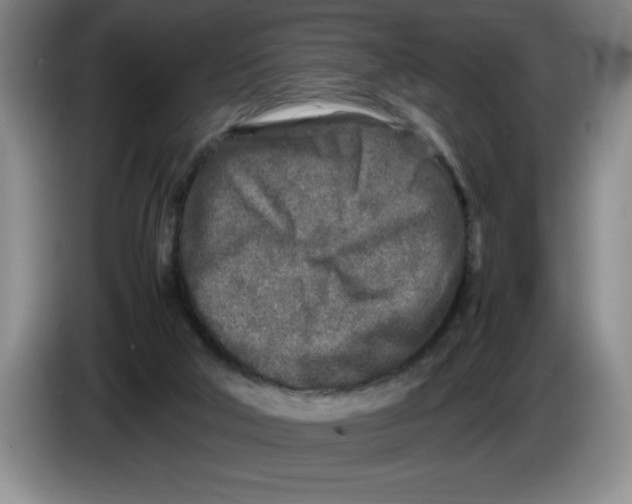 X0000083600018200703091751