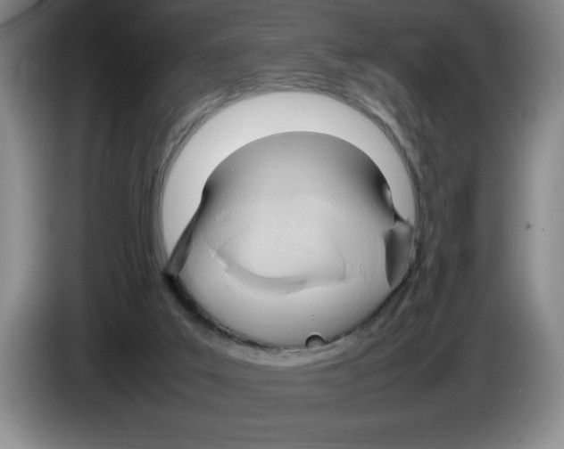 X0000083600019200703091750