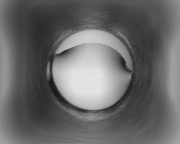 X0000083600020200703091750