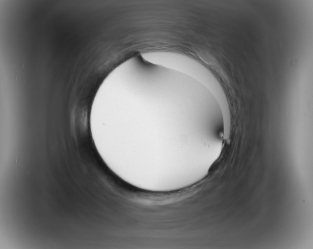 X0000083600021200703091750