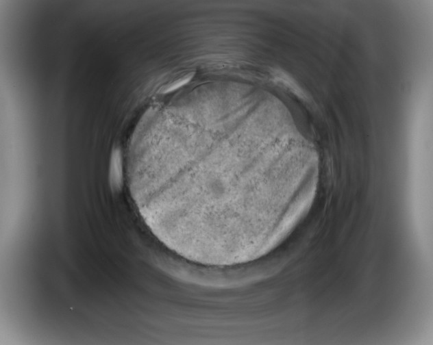 X0000083600022200703091750