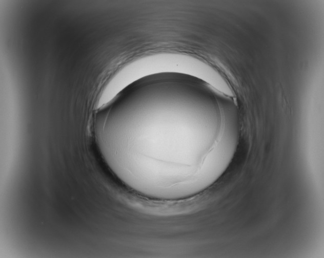 X0000083600023200703091750