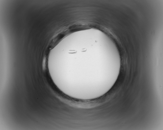 X0000083600024200703091750