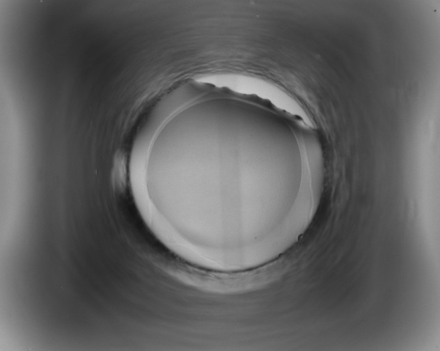 X0000083600027200703091750