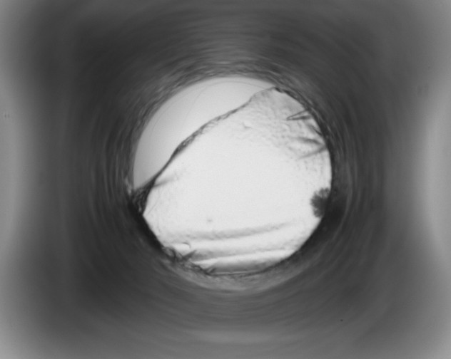 X0000083600030200703091750