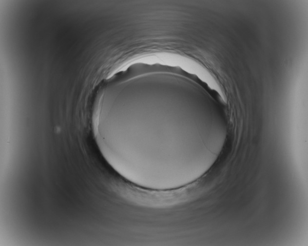 X0000083600031200703091750