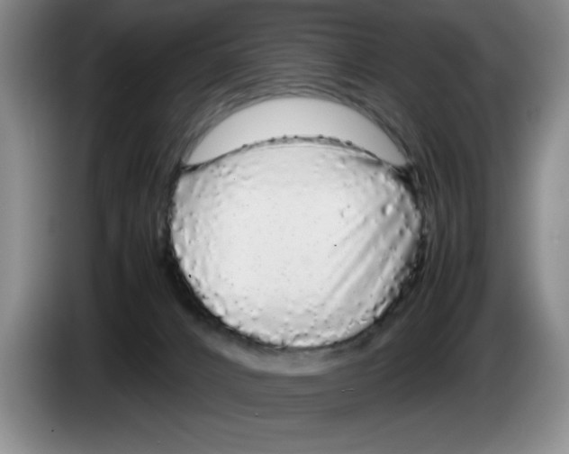 X0000083600032200703091750