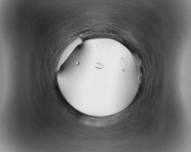 X0000083600033200703091750