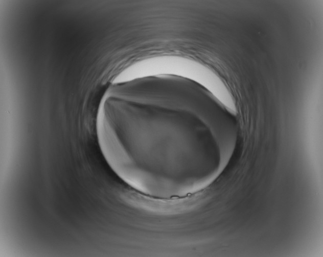 X0000083600035200703091750