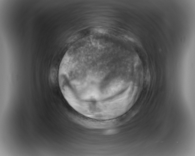 X0000083600036200703091750