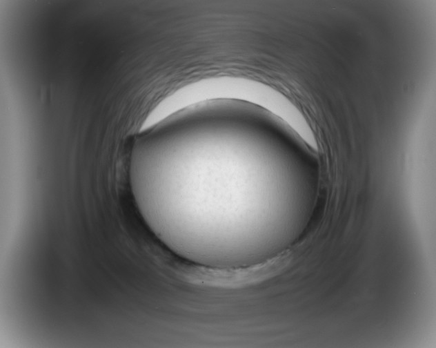 X0000083600037200703091750