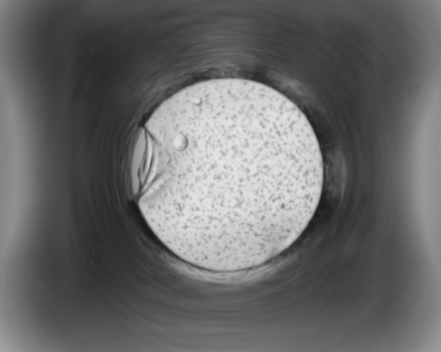 X0000083600038200703091750