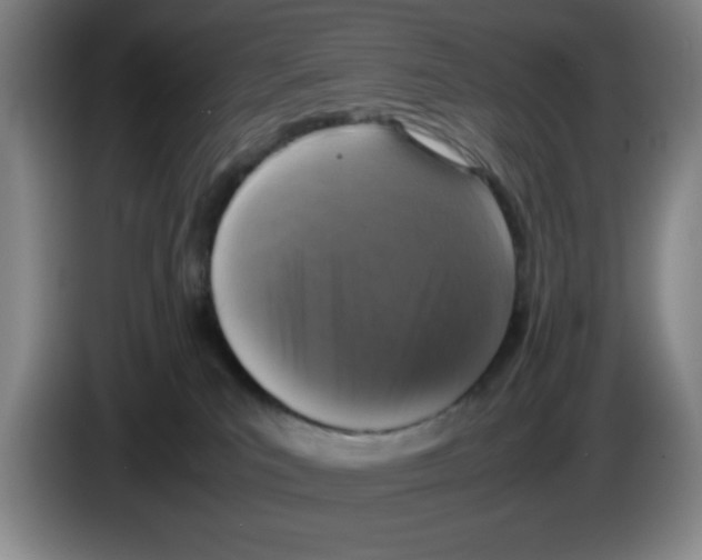 X0000083600039200703091750