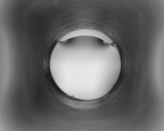 X0000083600040200703091750