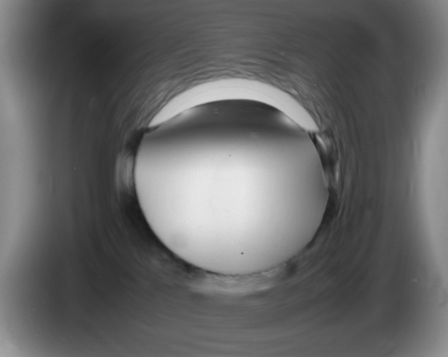 X0000083600041200703091750