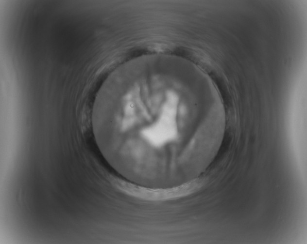 X0000083600043200703091750