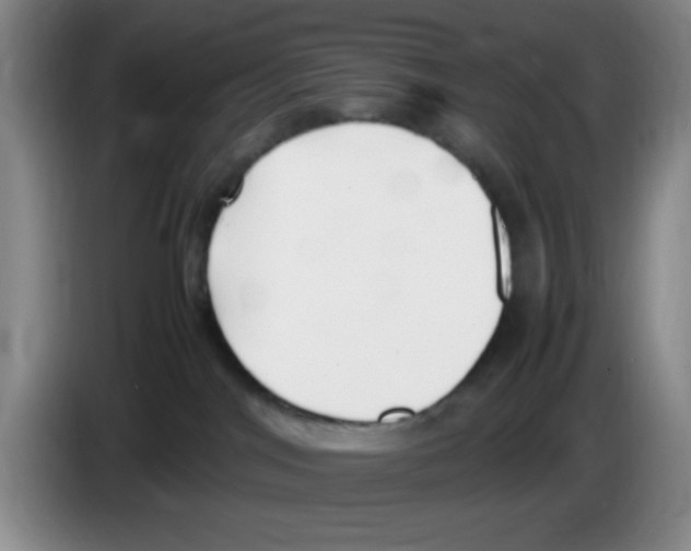 X0000083600044200703091750