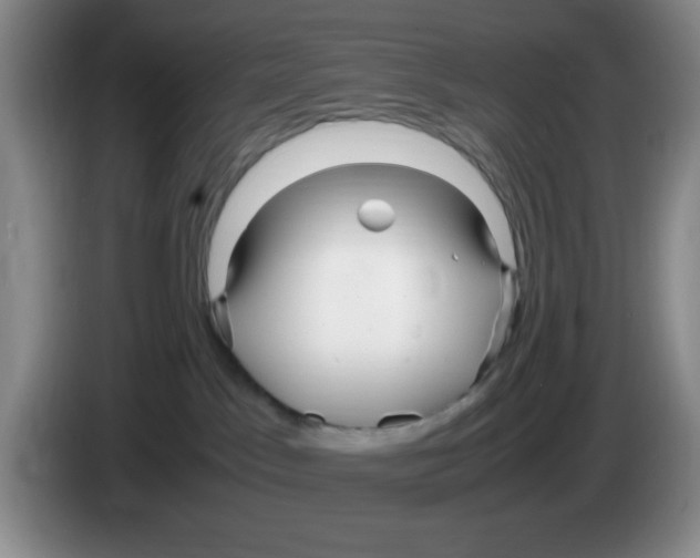 X0000083600045200703091750