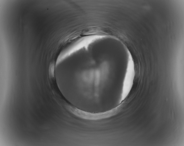 X0000083600047200703091750