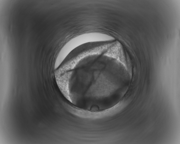 X0000083600048200703091750