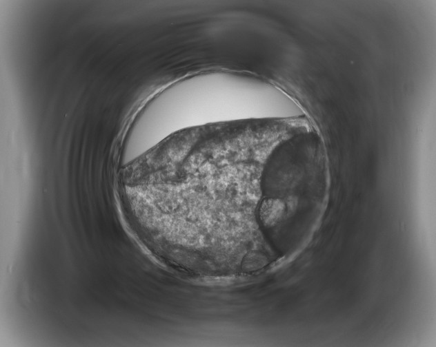 X0000083600049200703091749