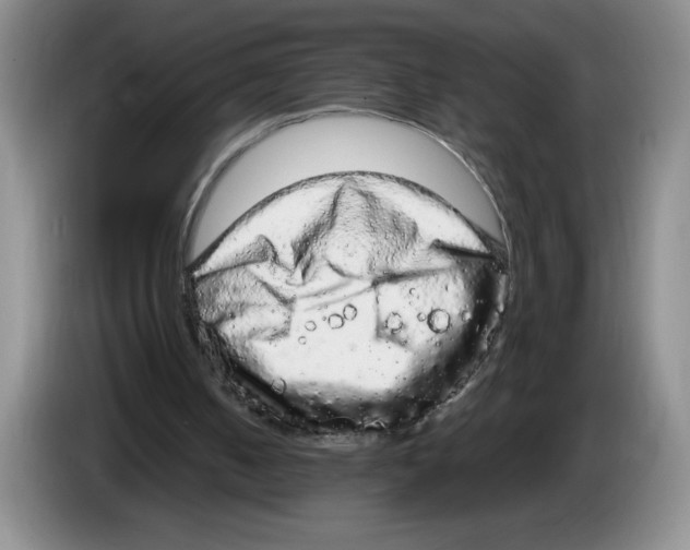 X0000083600050200703091749