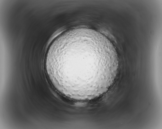 X0000083600051200703091749